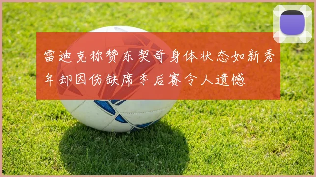 雷迪克称赞东契奇身体状态如新秀年却因伤缺席季后赛令人遗憾